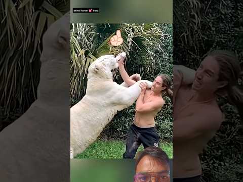 🐅 Tiger को डर था आदमी भी छोड देगा Reality ने रुला दिया 😭