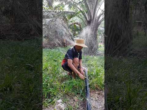 Artificial Rain gamit ang Rain Hose