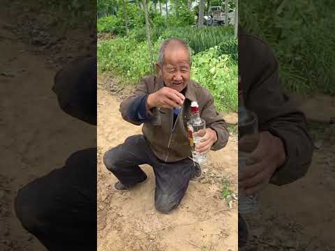 This older gentleman planting peanuts is hilarious! 😂