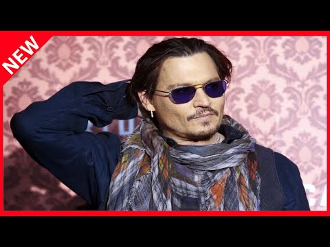 ?  Johnny Depp « mari violent » : un juge refuse sa demande d'appel