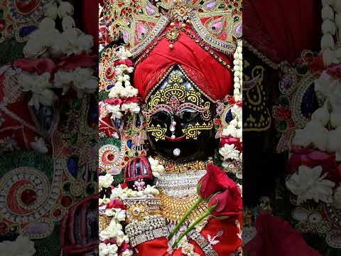 राधा बल्लभ श्री हरि वंश 🙏🙏#राधेराधे #वृंदावनधाम