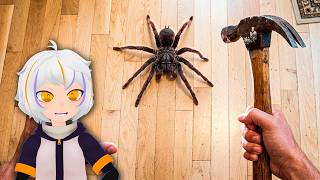 MATANDO UNA ARAÑA EN CASA | ChuyMine REACCIONA a Buttered Side Down