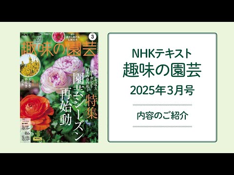 NHKテキスト『趣味の園芸』2025年3月号の紹介