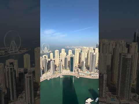 朝犬に起こされ、永遠とボール投げさせられる日課。