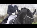 Dressage horse KOP JANSEN BLACK VELVET *SOLD*