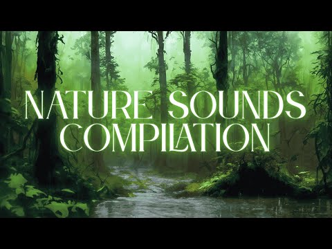 Nature Sounds #windhowl #oceanwaves #rain #desertwind #waterfall