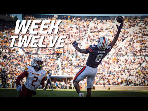 College Football Best Plays of Week 12 | 2024-25 ᴴᴰ