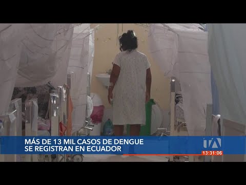 13.300 casos de dengue y 16 fallecidos por esta enfermedad en Ecuador