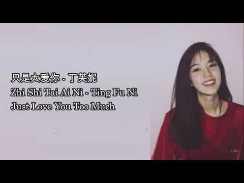 Zhi Shi Tai Ai Ni (只是太爱你)