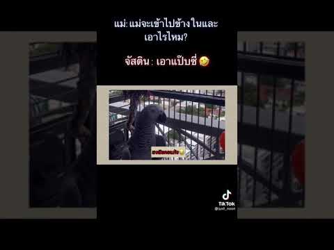 กินแป๊บซี่ได้ไงอ่ะเอมิว😂😂😂 กินแป๊บซี่ได้ไงอ่ะเอมิว😂😂😂