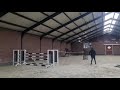 Show jumping horse 3j Ruin van Pegase van't Ruytershof