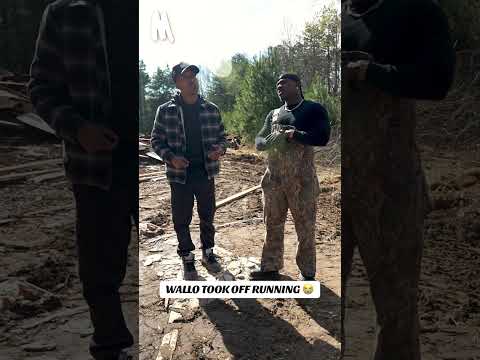 The Art of Baking: From Classic Bread to Artisan Pastries