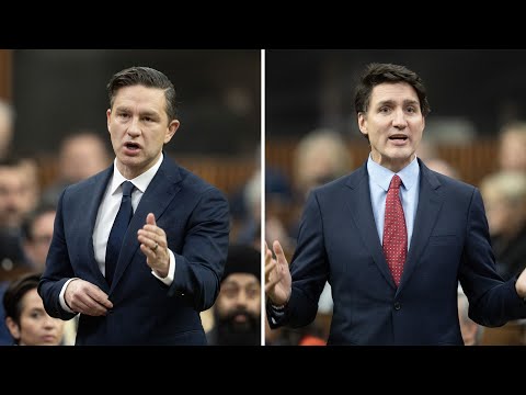 Pierre Poilievre compares Justin Trudeau's spending to a crazy lunatic on a bus