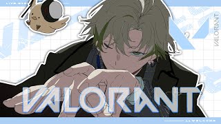 【VALORANT】Jade Cupスクリム！全てが一変してしまいました【新人Vtuber/桐海めかぶ】