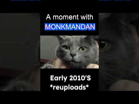 Epic kitty photo (R.I.P. Zoey) #amomentwithmonkmandan #monkmandan
