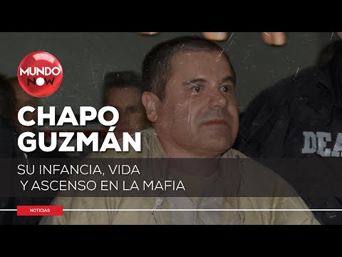 MUNDO NARCO: El Chapo Guzmán infancia y ascenso en la mafia