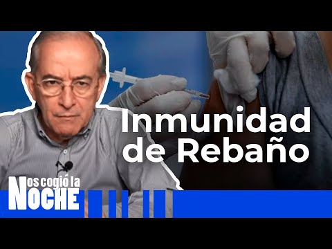 Cuántas Personas Tienen Que Vacunarse Para Qué Haya Inmunidad – Nos Cogió La Noche