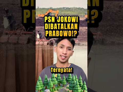 PSN PIK 2 dan Merauke zaman Jokowi dihapus Prabowo!? Ada pelanggaran aturan