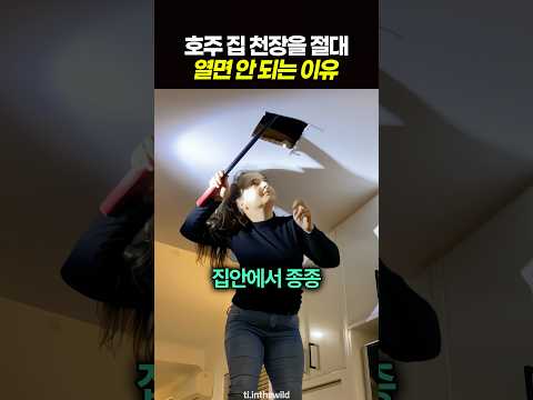 <strong>호주</strong> 집 천장을 절대 열면 안 되는 이유 🐍