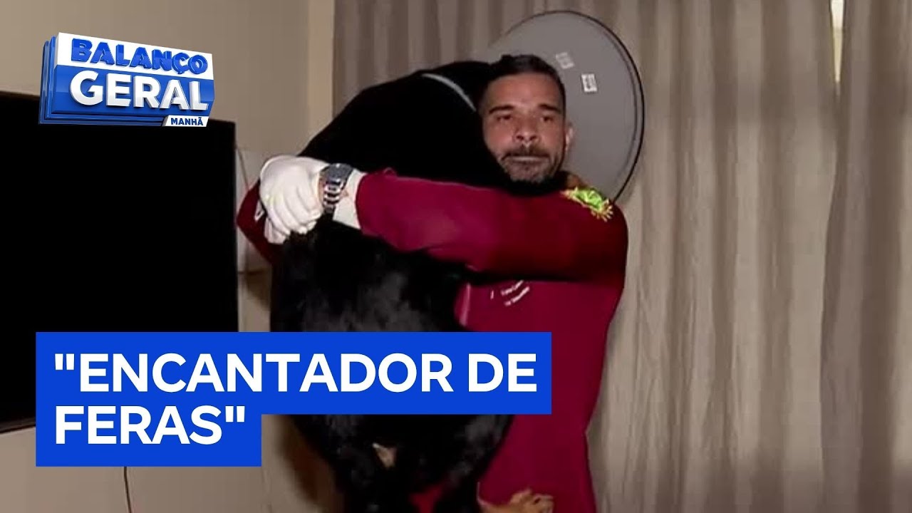 Veterinário usa dança e iluminação para acalmar cães agressivos TV Online Veterinário usa dança e iluminação para acalmar cães agressivos