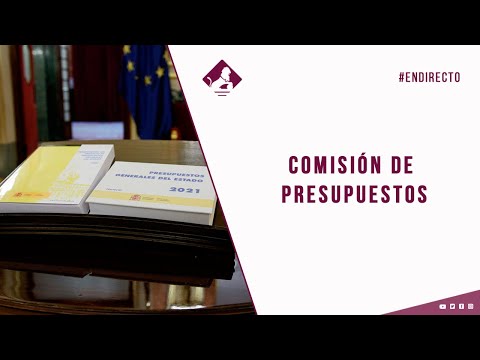 Comisión de Presupuestos (05/11/2020)
