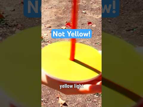 Our brains have been tricking us!