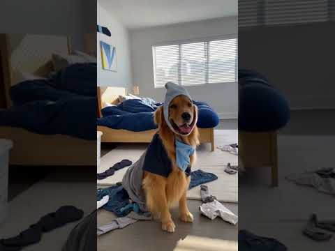 Klik hier om Kwebbelkop van 22 november te bekijken.