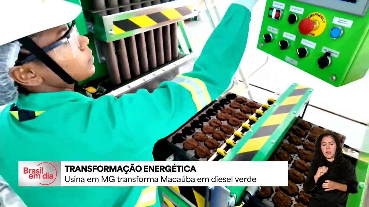 Usina em MG transforma Macaúba em diesel verde