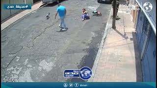 رجل يضرب امرأة بسبب كلب