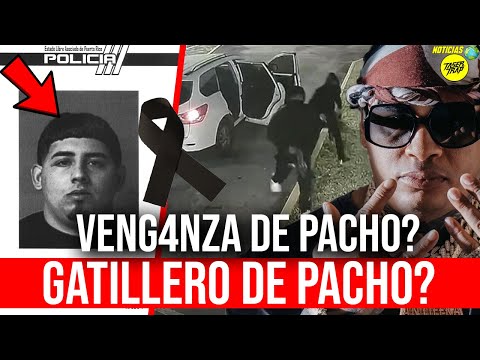 BAJO MUNDO: LE DAN A GATILLERO CUAJITO: AUTOR DEL CASO DE PACHO EL ANTIFEKA!