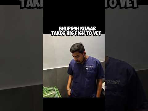 Taking Dead <strong>Fish</strong> To Vet #funnyshorts #prankvideos #funnyvideo #comedyshorts #pranks