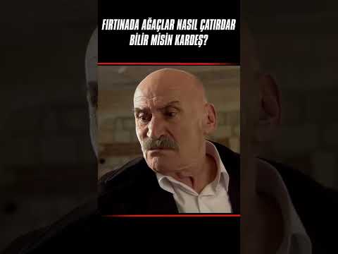 Fırtınada Ağaçlar Nasıl Çatırdar Bilir misin Kardeş? | Ezel #shorts