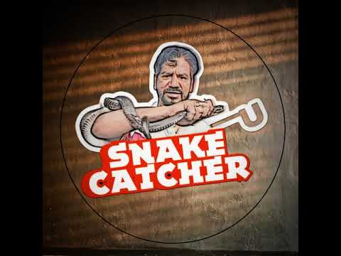 Tiger BhaiJaan Live Stream