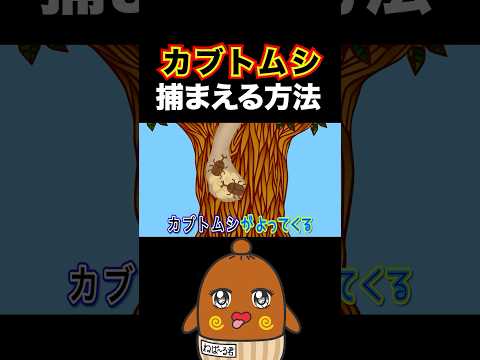 【カブトムシを捕る方法】クワガタ 恐怖の雑学 為になる雑学 #ねばーる君 #恐怖雑学 #豆知識 #shorts #ねばねばtv #怖い雑学 #怖い話 #アニメ #カブトムシ
