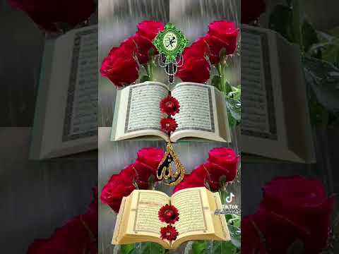 #aliahmedtalukder #beautiful #quran #reaction #shorts