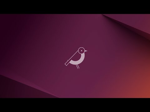 Ubuntu 24.10 Oracular Oriole