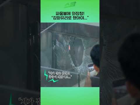 파울볼에 와장창! 강화유리로 했어야...