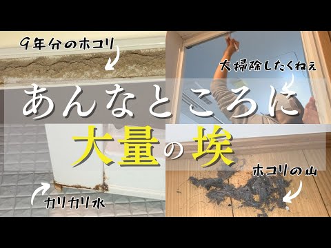 【ドン引き】9年間、1度も掃除したことない場所がヤバすぎた！墓じまいの話をしながら