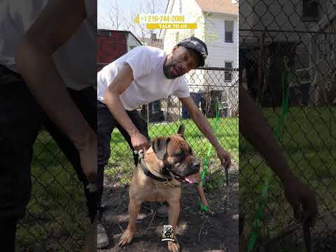 YouTube video thumbnail