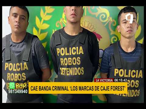 PNP captura a banda criminal 'Los marcas de Caje Forest' dedicada a robos a mano armada