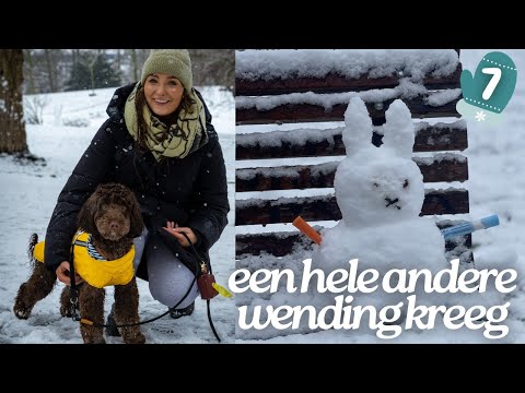 Klik hier om Jill Ruby van 7 januari te bekijken.