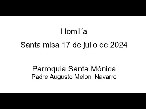 Homilía extraída de la Misa del 17 de julio del 2024