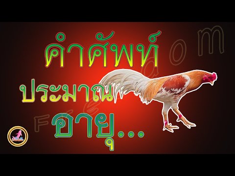 แค่คำเหล่านี้ก็เข้าใจอายุของไก