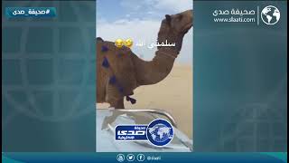 الله سلمه في البر