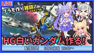 【プラモづくり雑談】HG白いガンダム！あれからもう一年なんだね～【ガンプラ】