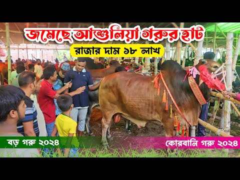 কোরবানি বড় বড় গরু দাম কত ? এক রাজার দাম ১৮ লাখ || আশুলিয়া গরুর হাট ২০২৪ || কৃষি ঘর