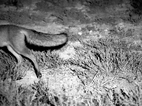 Blood Quartet Concert Tickets - 2026 Tour Dates.