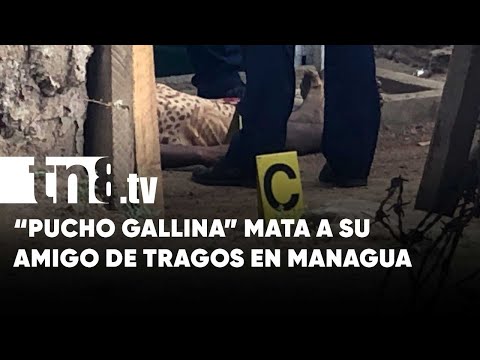 Y eso que eran «amigos»: Hombre acuchilla a su compinche en Managua - Nicaragua