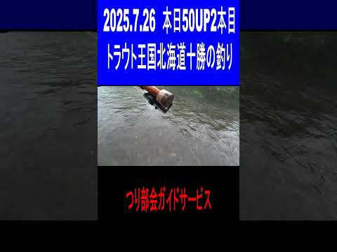 2025.7.26　本日2本目の50UP　トラウト王国北海道十勝の釣り　つり部会ガイドサービス