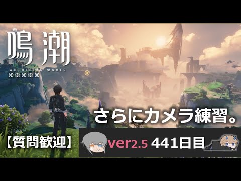 【鳴潮】微社畜azeが漂泊しました。441にちめ。カメラ練習。